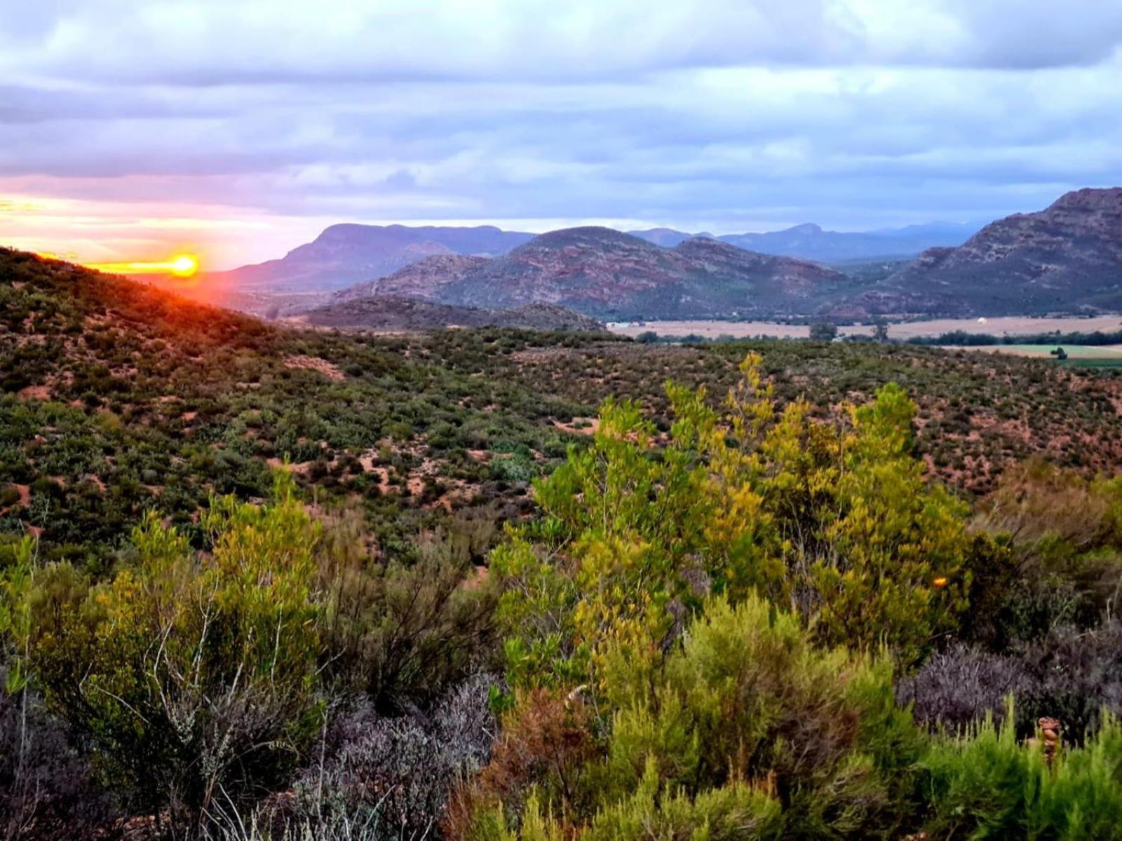 Aardts Cabins De Rust Bagian luar foto